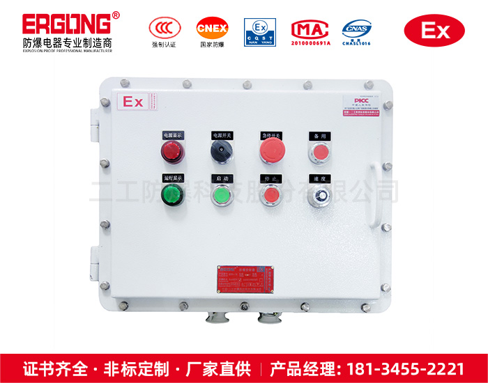 防爆控制箱-10