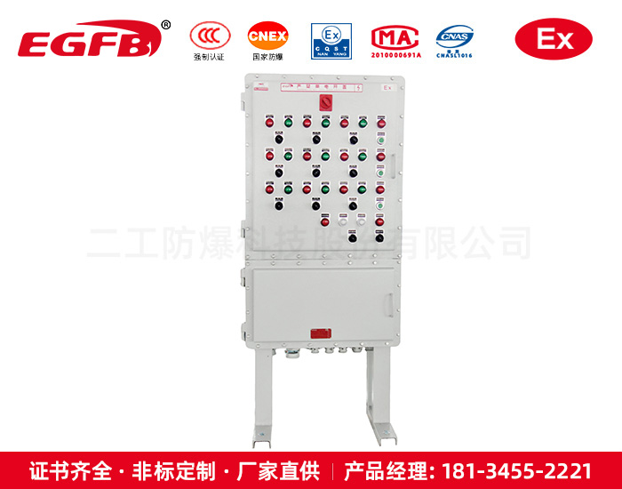 垃圾處理廠用防爆配電箱