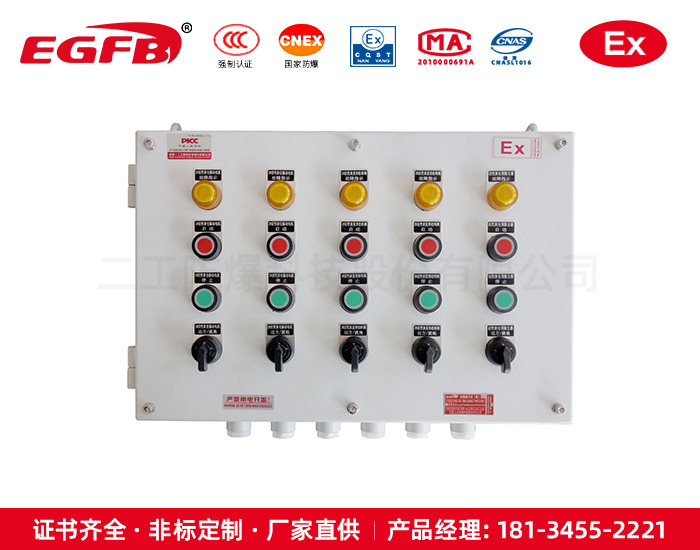 二工防爆工業粉塵防爆操作箱