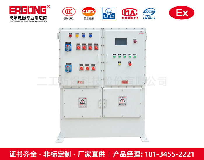 防爆控制箱（柜）-10